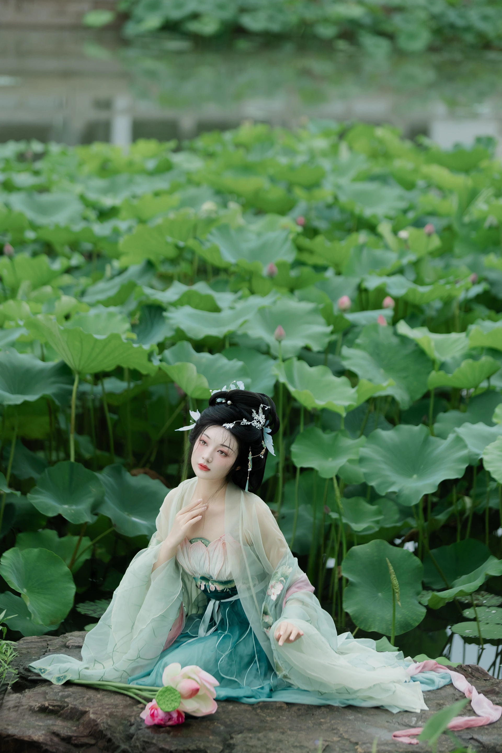 [YITUYU艺图语]2024.10.01 暑荷 庄子清 2